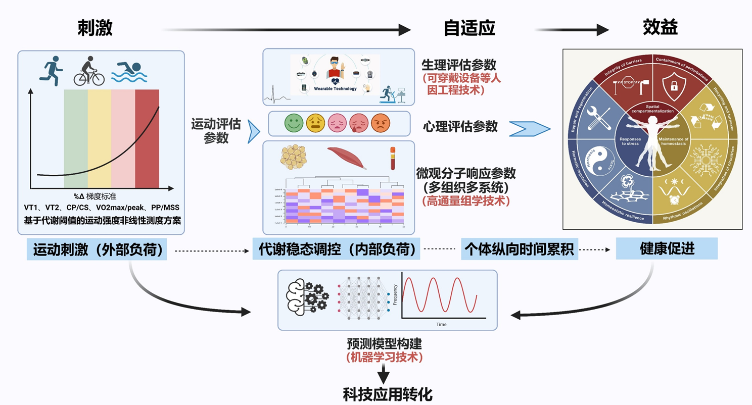 运动促进健康示例图 1